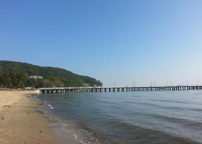 W Apartamencie Danuta Homestay *